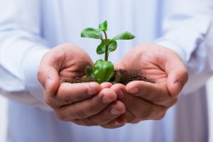 Staff Training Do’s and Don’ts to Help Grow Your Business