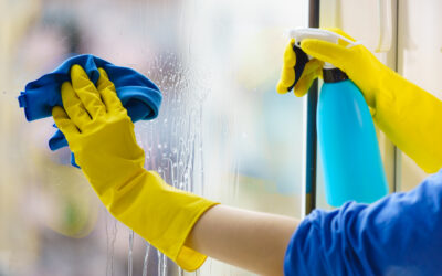 Cleaning the Doors & Windows